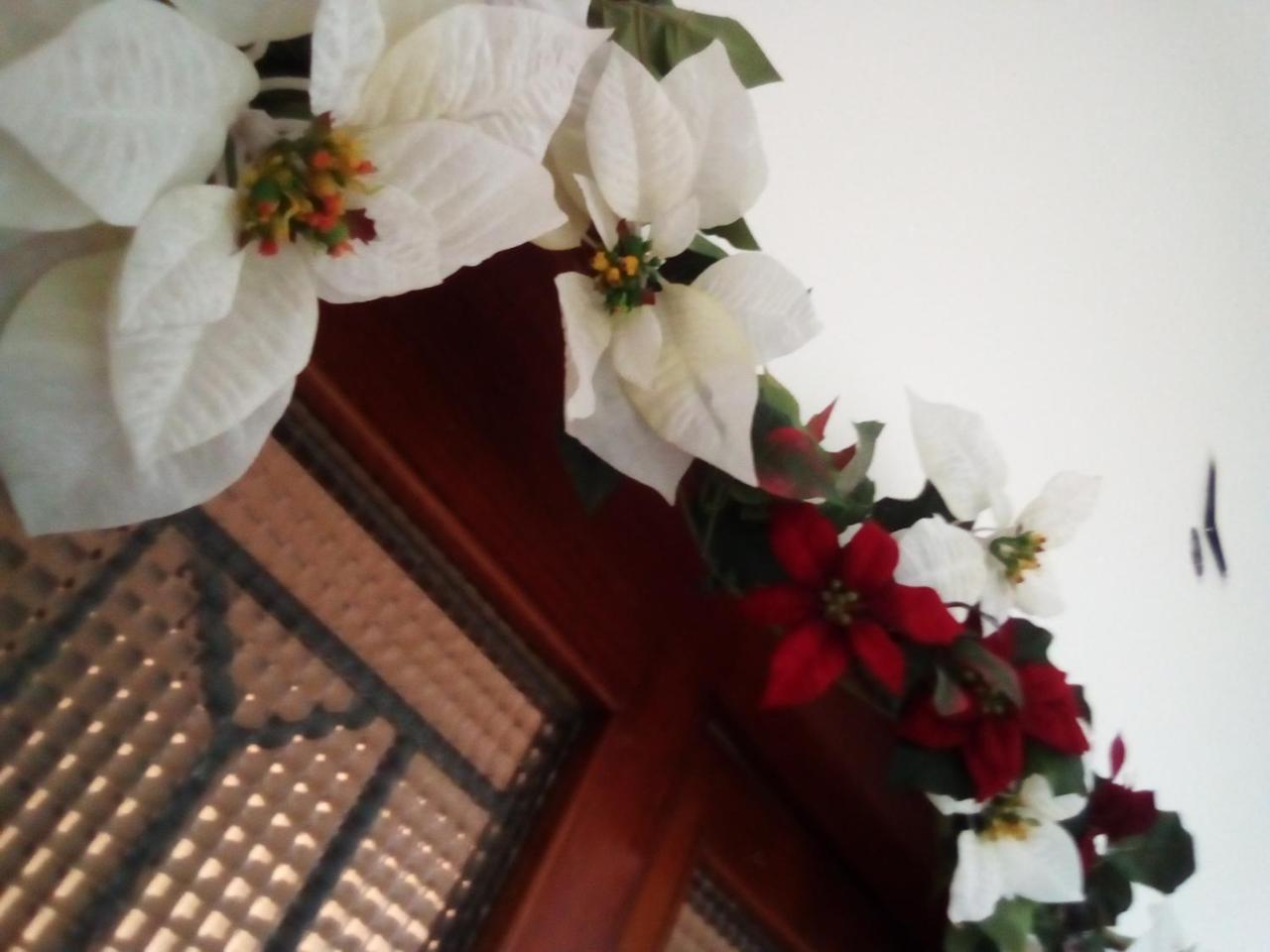 Officina Urban Sleep Bed & Breakfast San Benedetto del Tronto Bagian luar foto