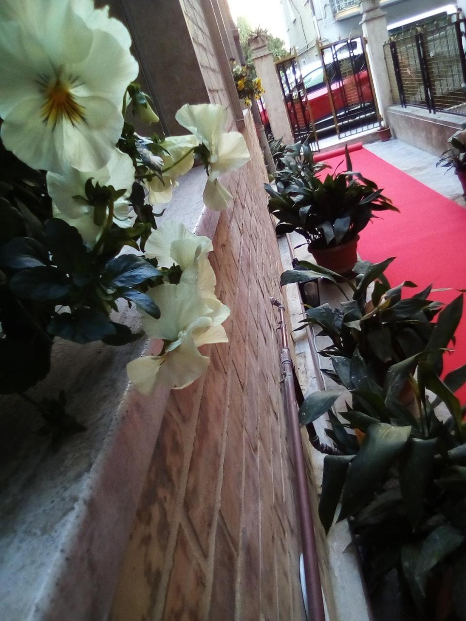 Officina Urban Sleep Bed & Breakfast San Benedetto del Tronto Bagian luar foto